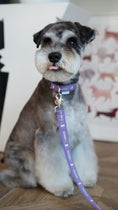 Gallery viewerに画像を読み込む, LOGO20mm 首輪【パープル×SILVER】