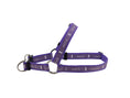 Gallery viewerに画像を読み込む, LOGO20mm ハーネス【パープル×SILVER】