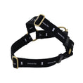 Gallery viewerに画像を読み込む, LOGO25mm ハーネス【ブラック】