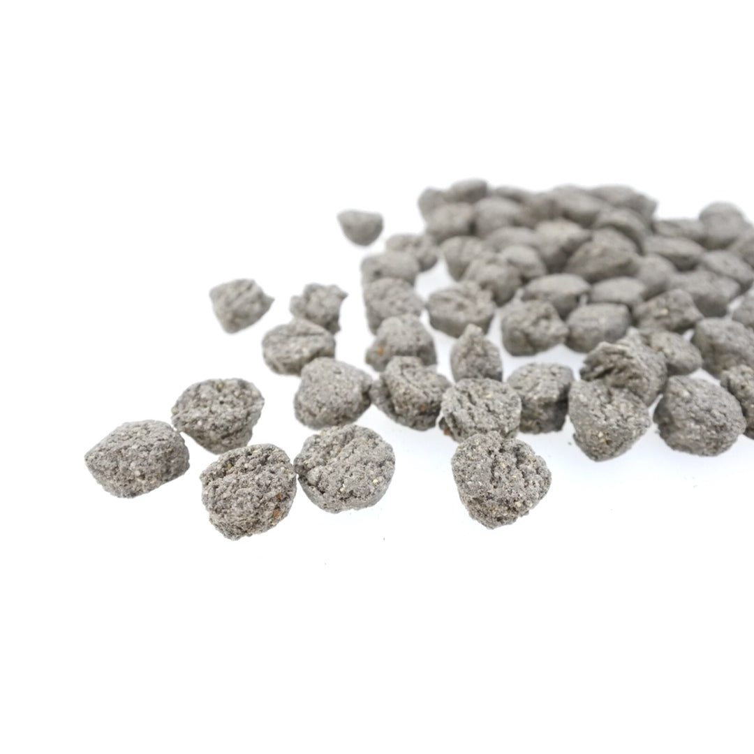 mmsu-ha DOG FOOD SHOP限定商品】【サーモン】mmsu-haプレミアム