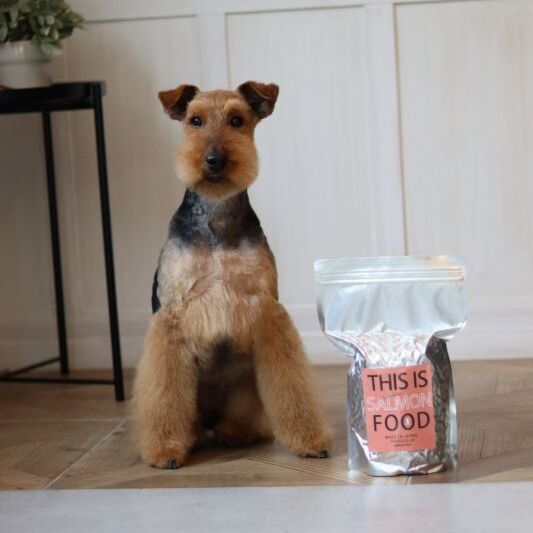 【サーモン】mmsu-haプレミアムドッグフード1kg袋