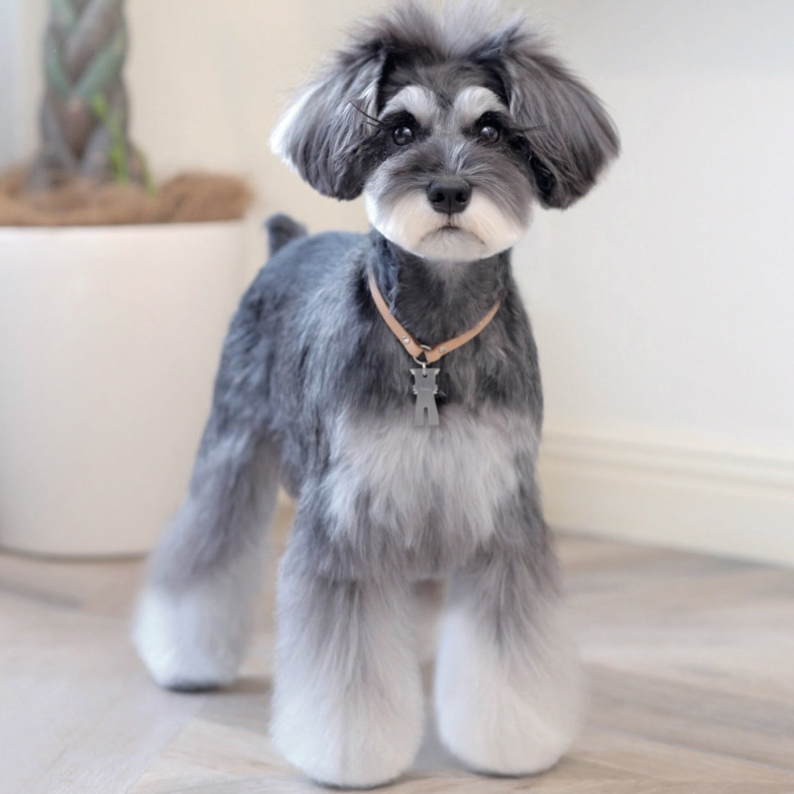 mmsu-haプレミアムシャンプー400ml